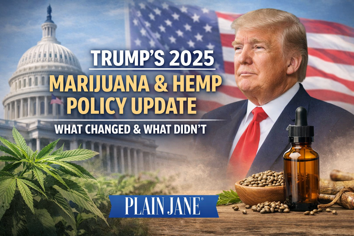 Trump's 2025 Marijuana & Hemp Policy update by Plain Jane