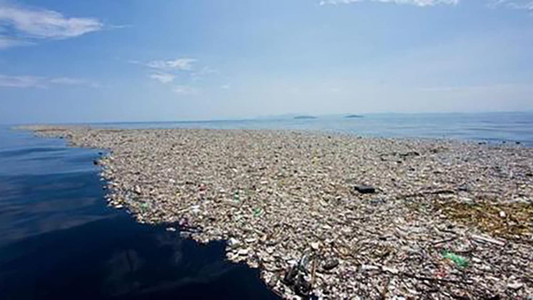 Why the World Needs Hemp Plastics