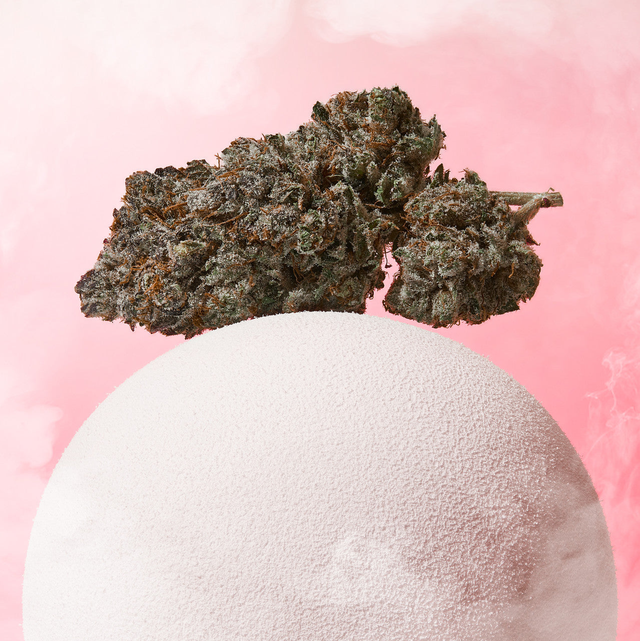 Pink Pixie Hemp Indoor Flower