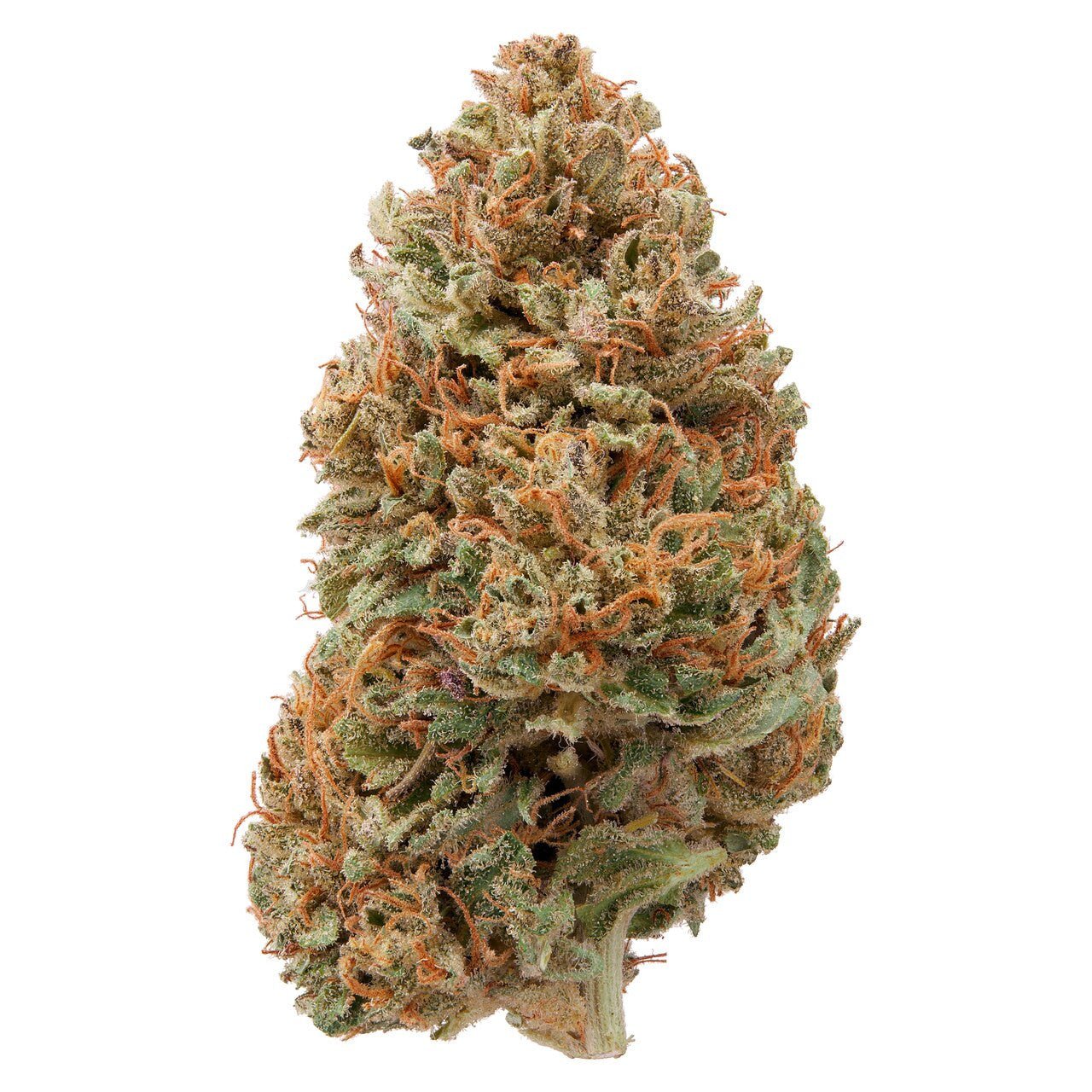 Hawaiian Haze | Sour Hawaiian Haze