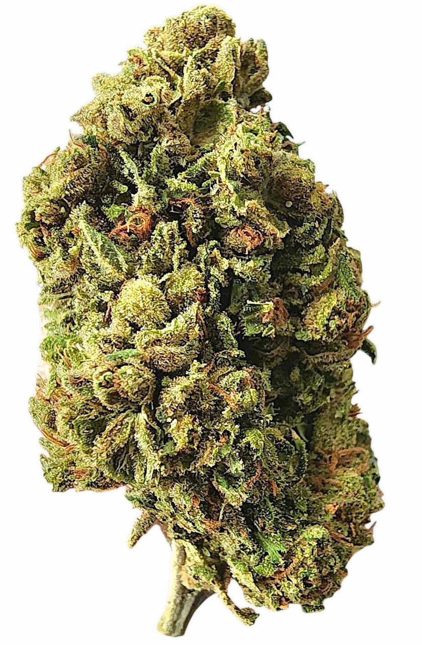 Spec Diesel – PlainJane