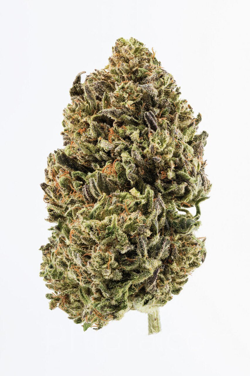 Suver Haze
