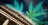 2018 Farm Bill and hemp legalization graphic