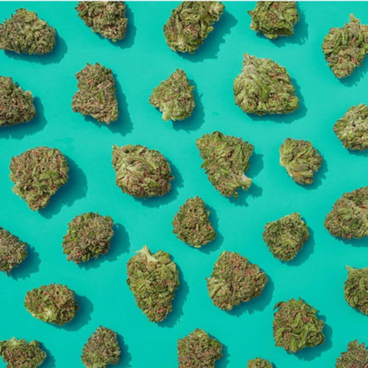 CBD-rich hemp flower