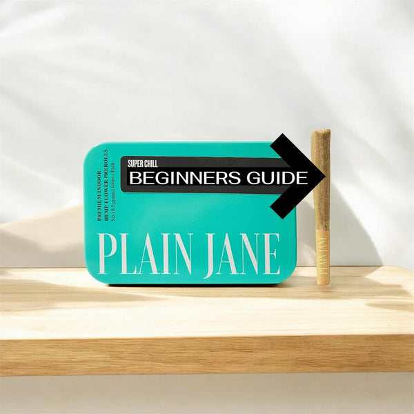 The Beginner’s Guide to CBD Flower: What You Should Know Before You Try It