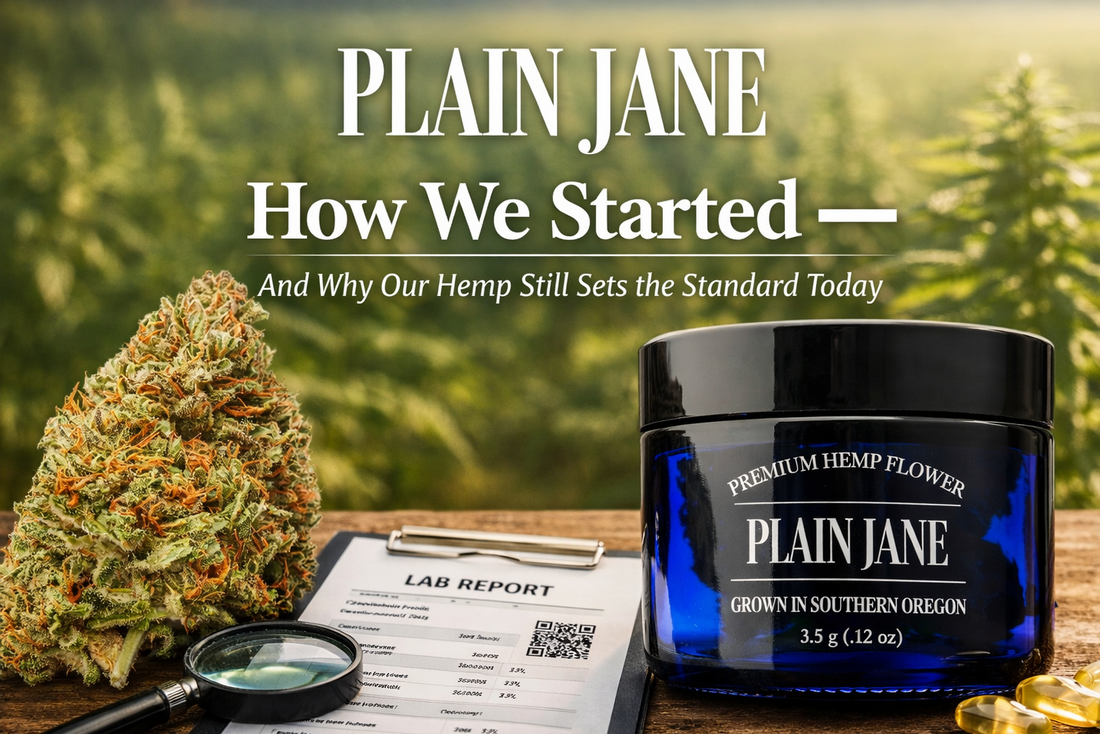Plain Jane how we started and why we set the standard today