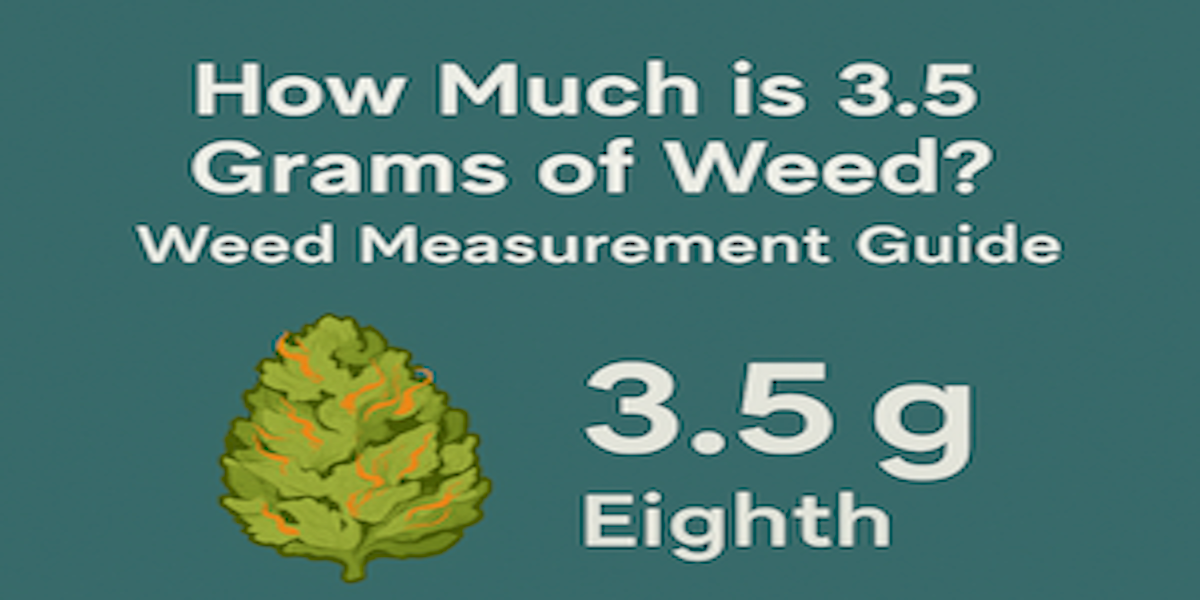 Weed measurement guide showing 3.5 grams