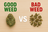 Comparison graphic for evaluating cannabis flower quality
