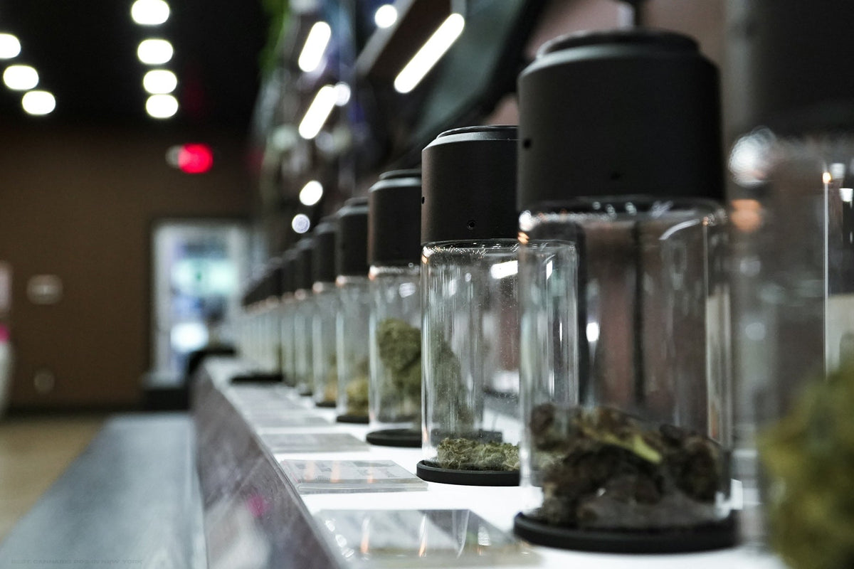 Row of glass jars filled with different cannabis flower options in a retail display