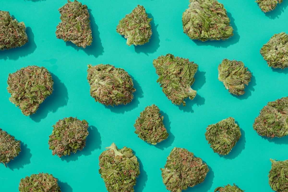 Multiple small flower buds arranged together for comparing smalls with full-size buds