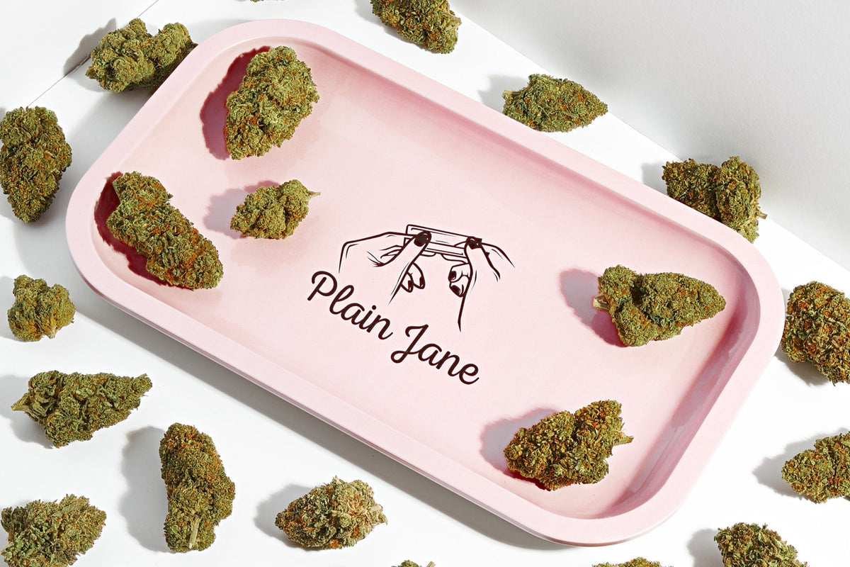 Multiple Plain Jane flower buds arranged on a branded tray for an individual pound-buying guide