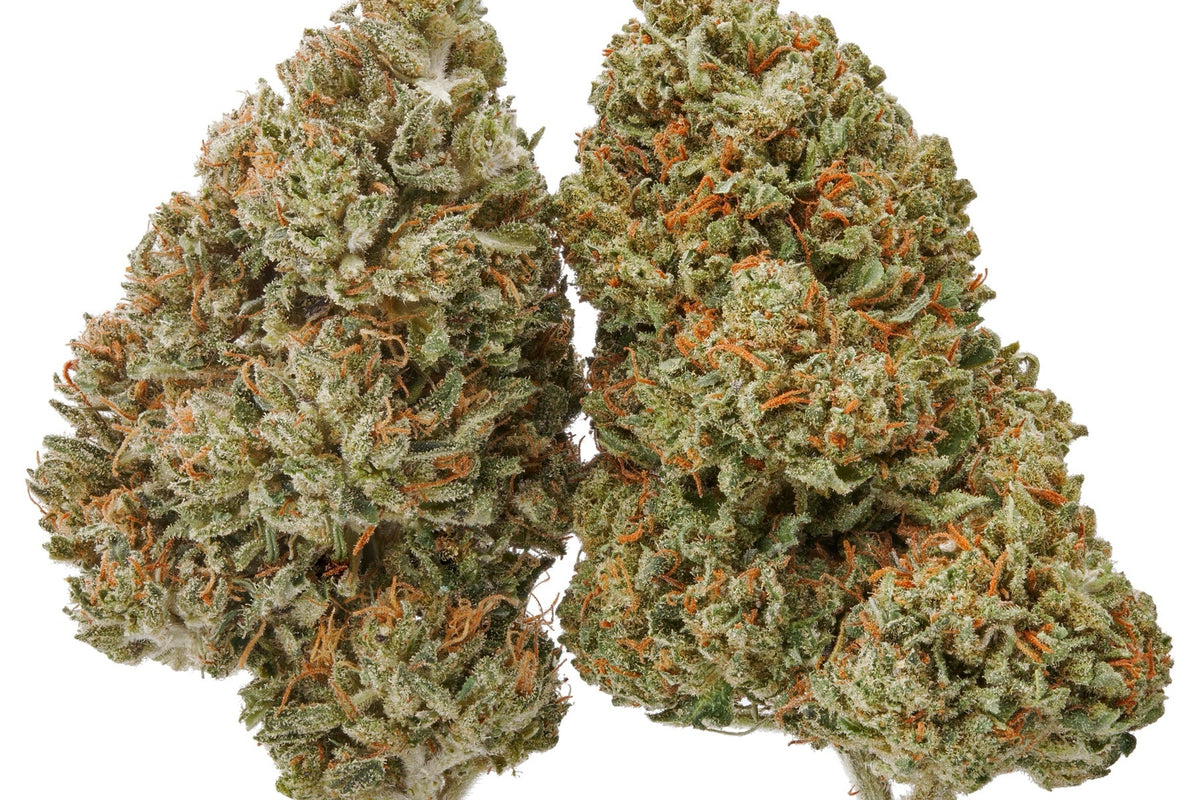Two Plain Jane flower buds photographed side by side for a flower value comparison