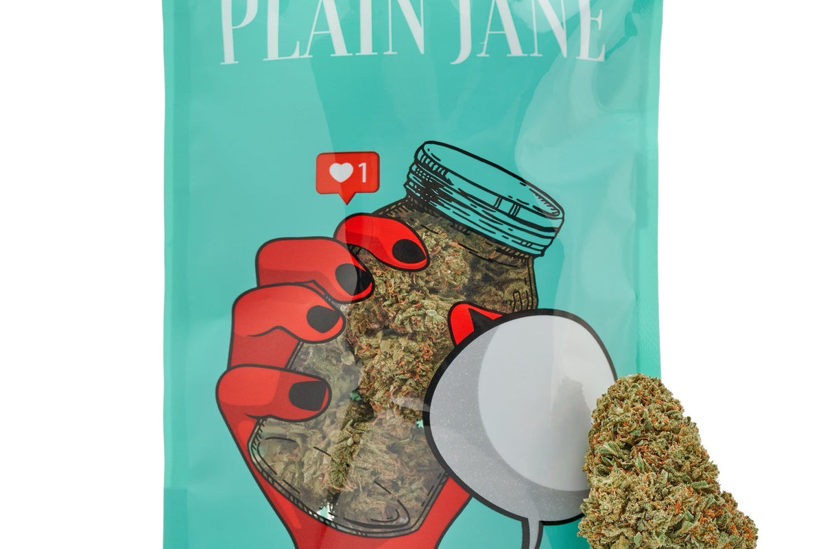 Plain Jane flower package and bud photographed on a clean studio background