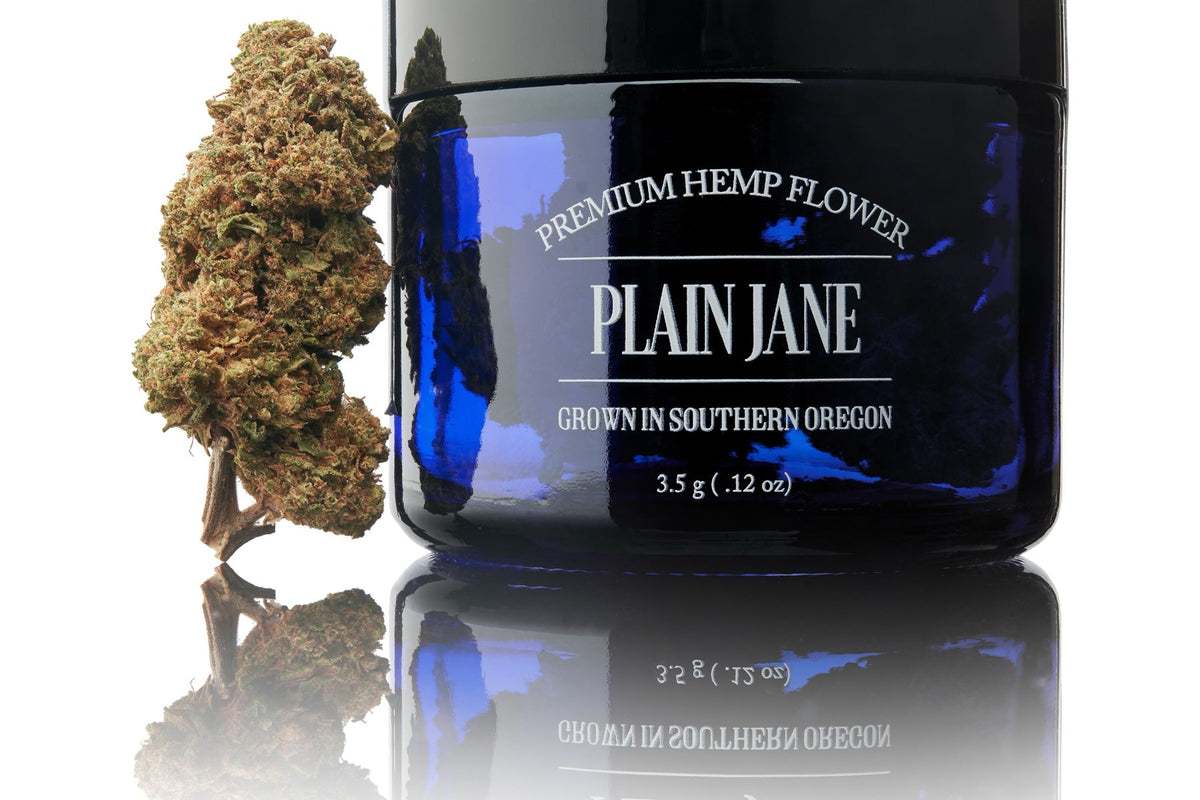 Plain Jane flower jar and bud in a clean studio product photograph