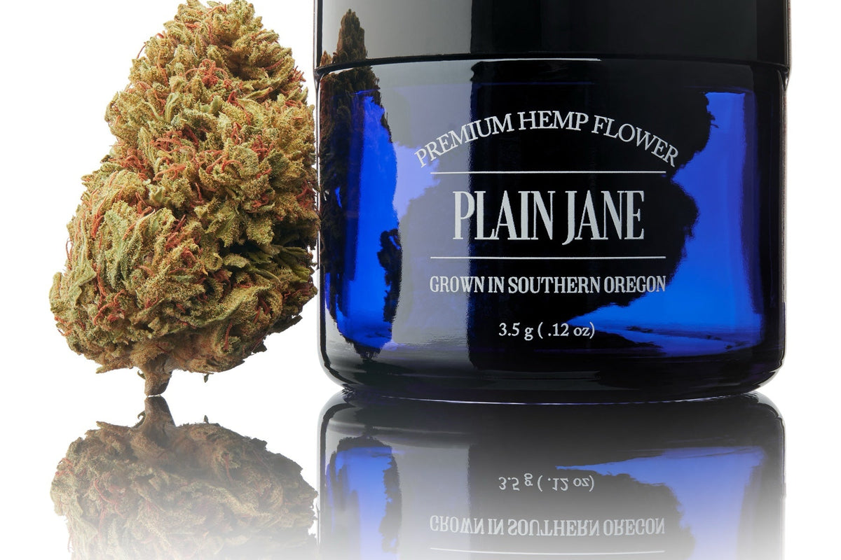 Plain Jane flower jar beside a full-size bud in a studio photograph