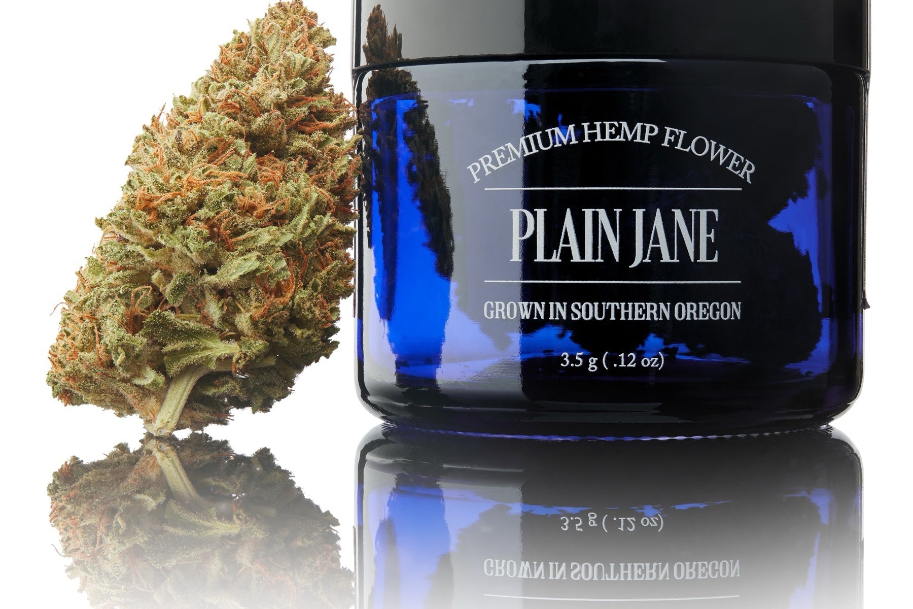 Plain Jane flower jar and full-size bud photographed on a clean background