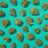 Plain Jane flower buds photographed on a teal studio background