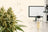 THCA flower beside a laboratory specimen tube and analytical graph