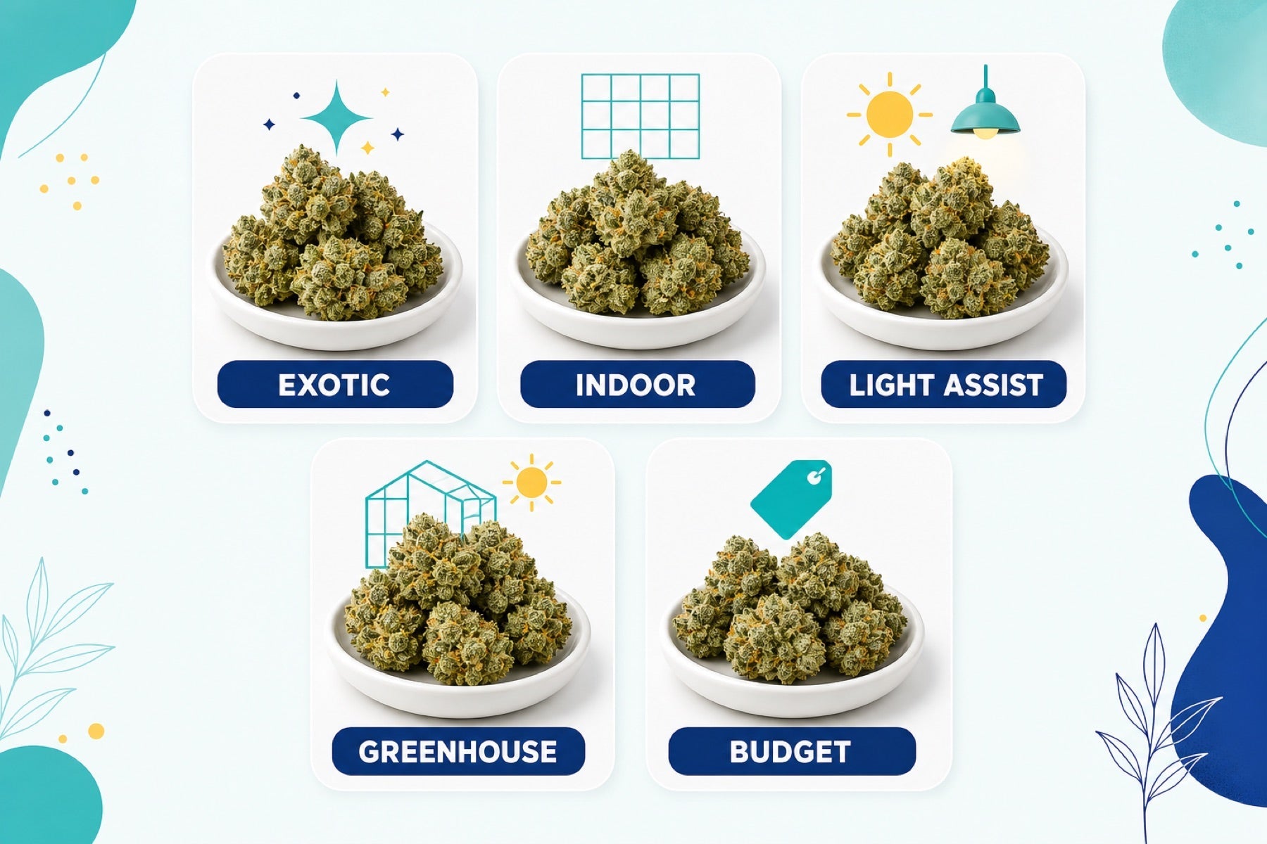 Five labeled THCA flower grade displays: Exotic, Indoor, Light Assist, Greenhouse, and Budget.