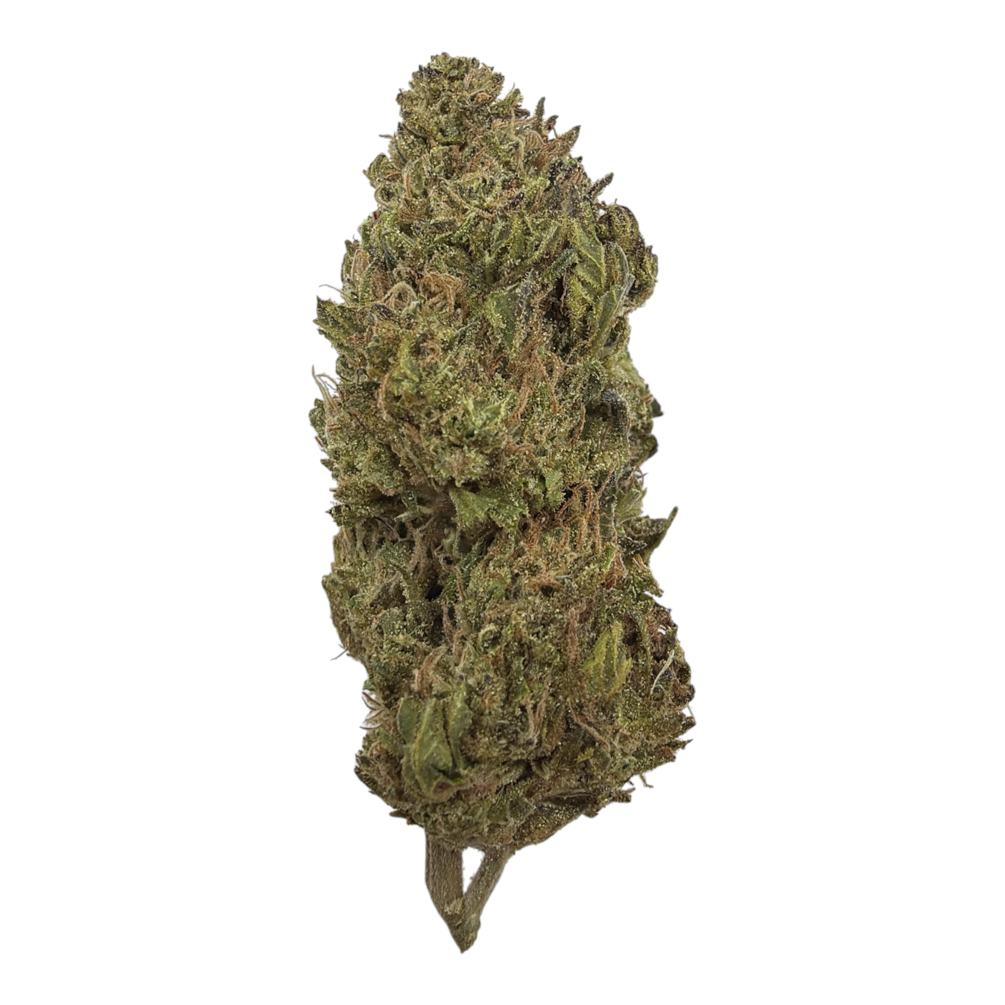 Hybrid THCA Flower at Plain Jane