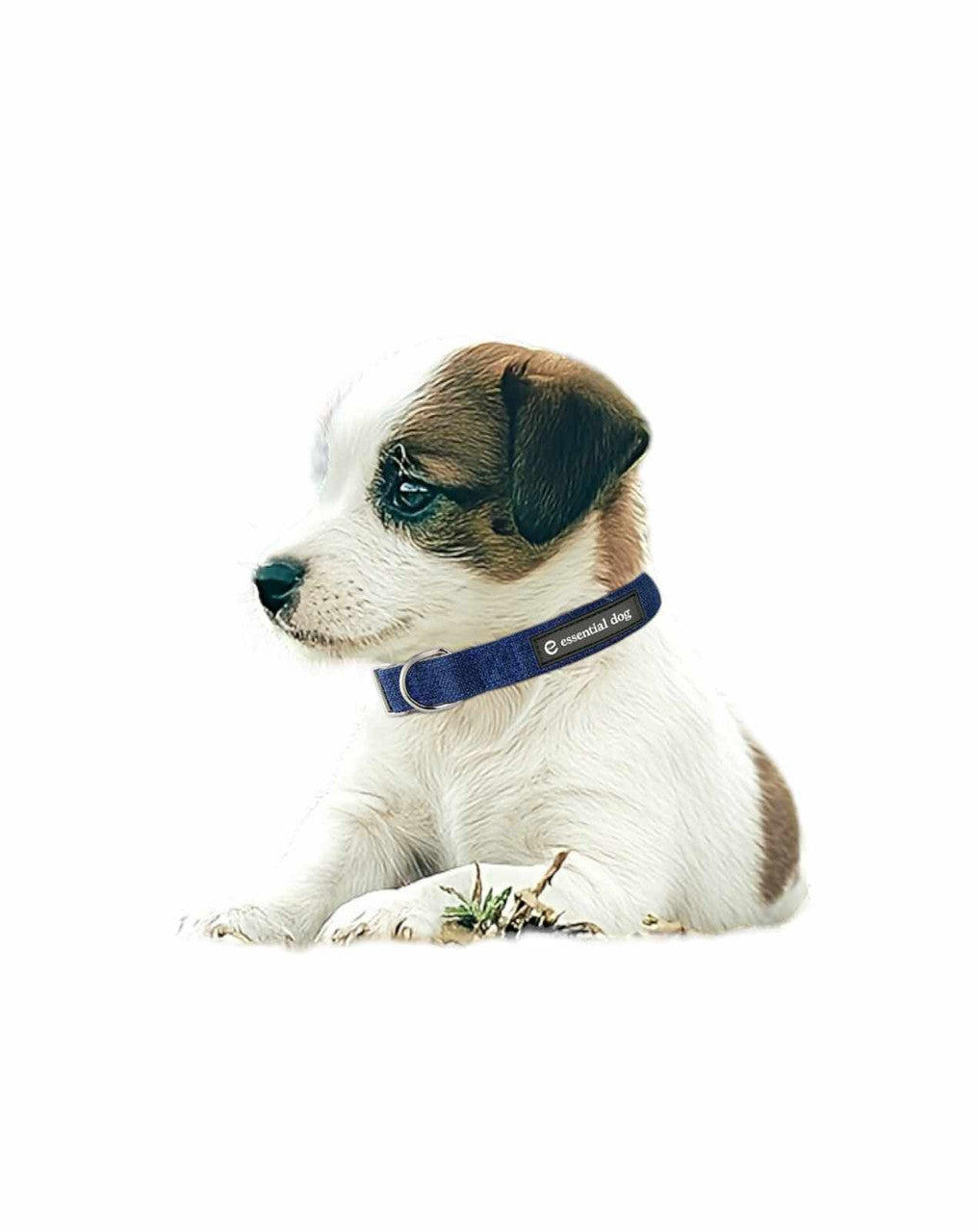 Essential Dog Hemp Collar and Leash Set