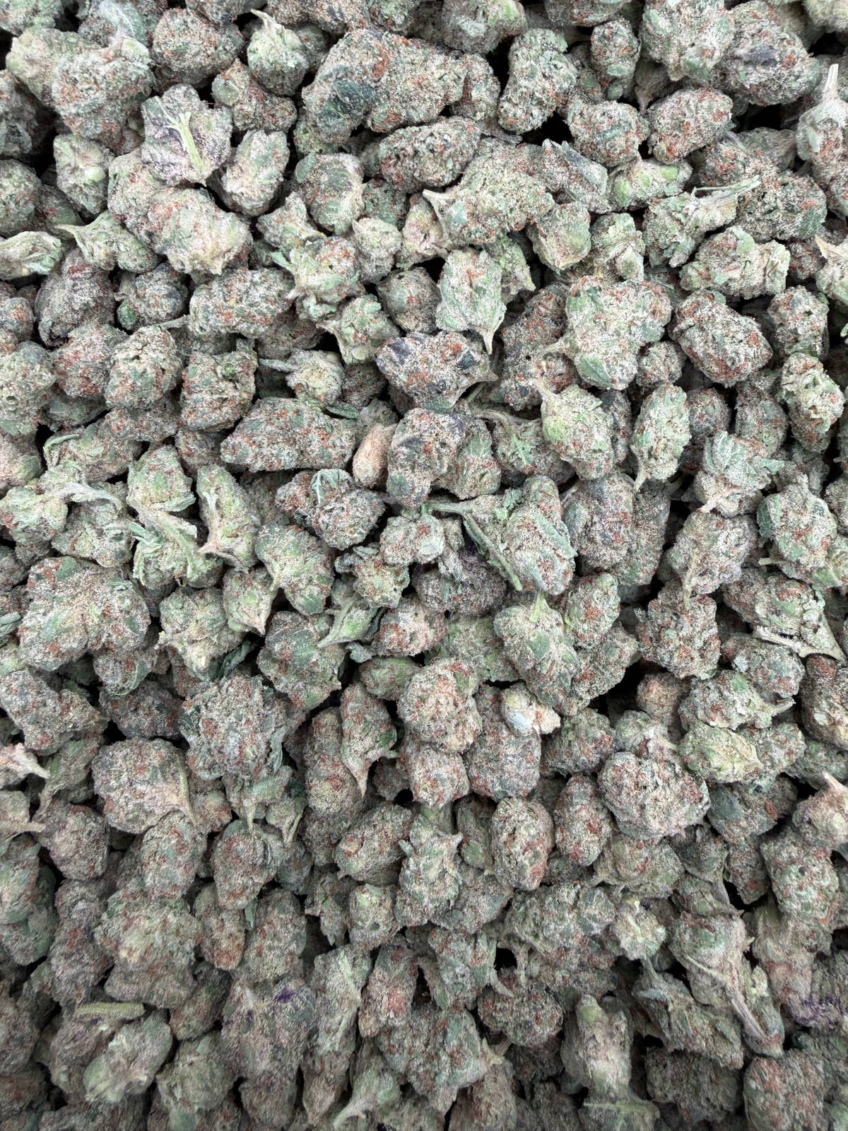 Blue Diamond (Indoor Smalls) - THCA Flower