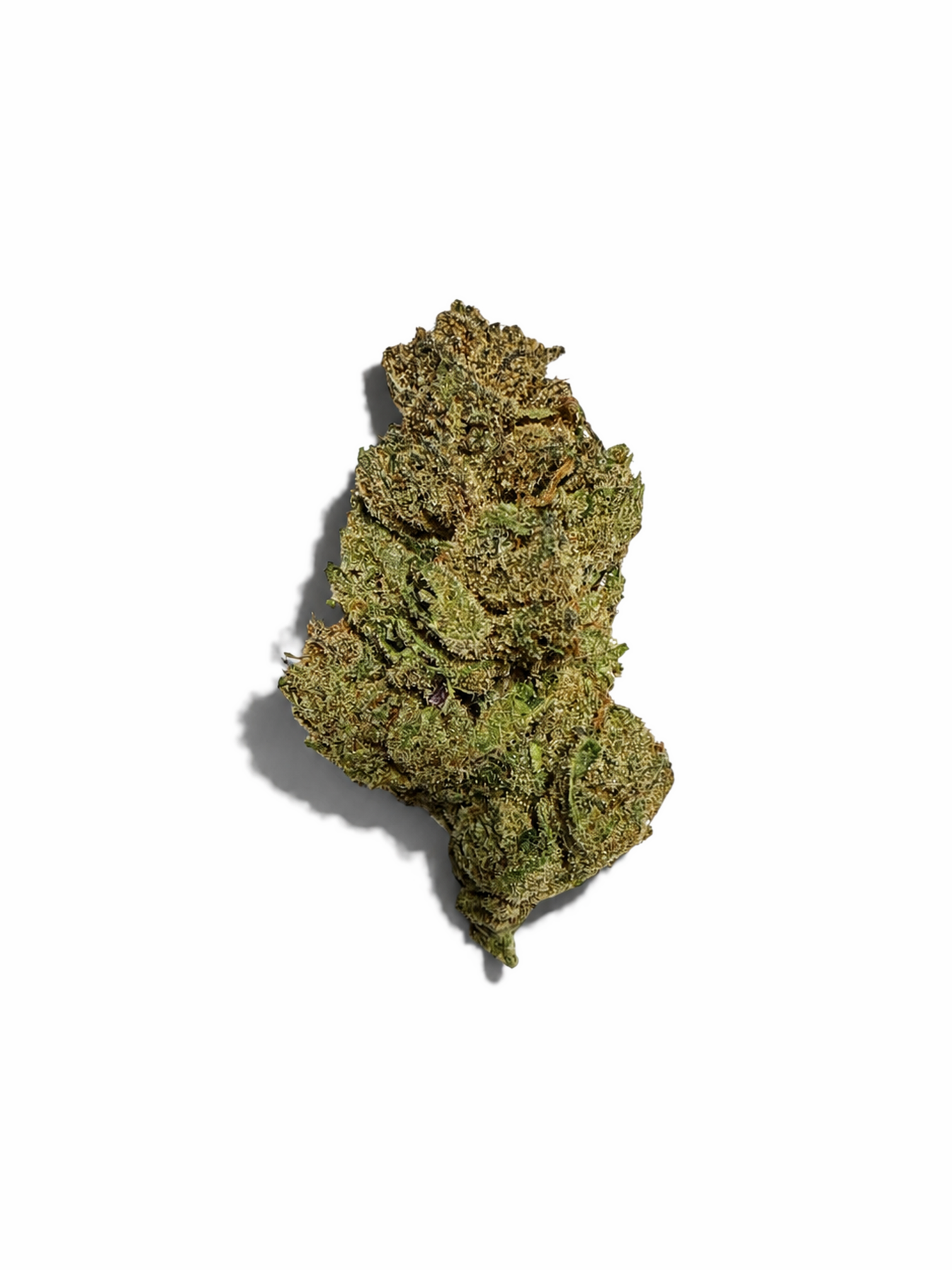 A2 Runtz (Value Indoor) - THCA Flower