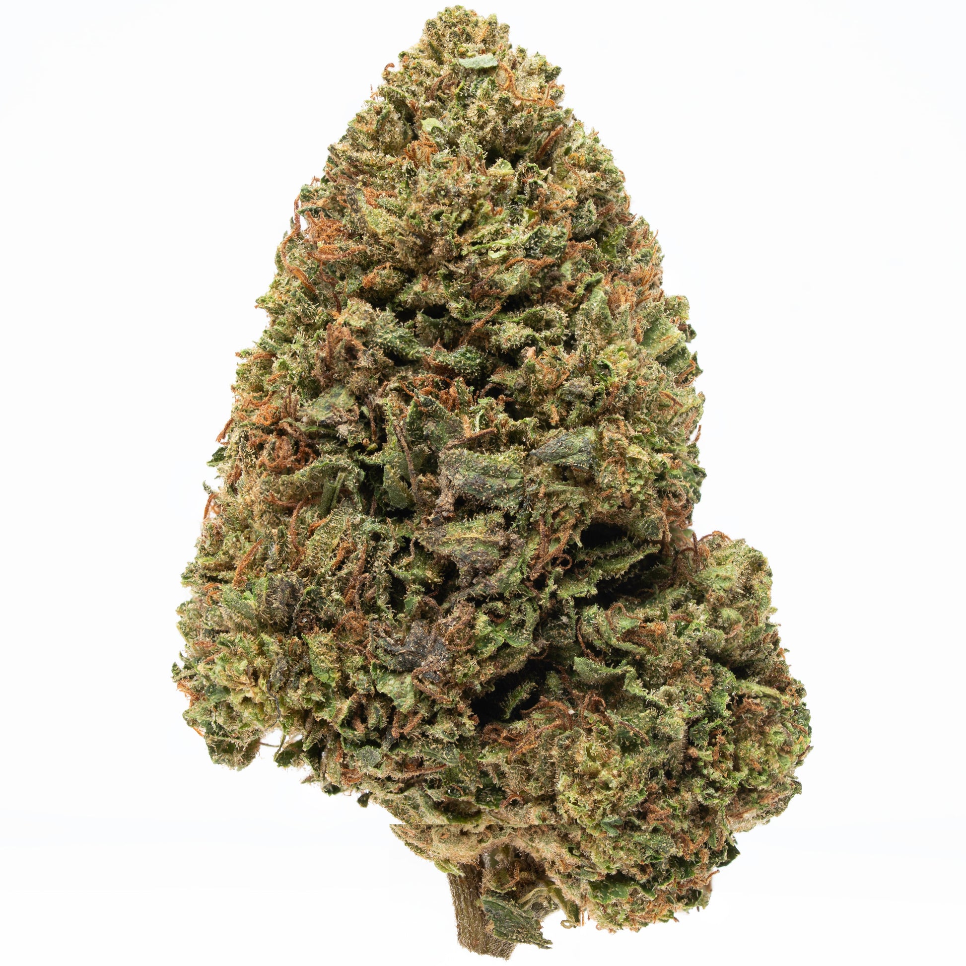 Plain Jane Bomb Pop CBD Hemp Flower