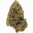 Plain Jane Bomb Pop CBD Hemp Flower