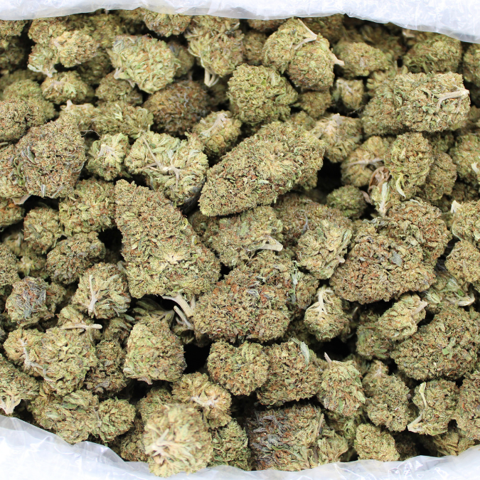 Bubba Kush CBD flower buds in an open bulk bag