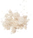 CBG Isolate