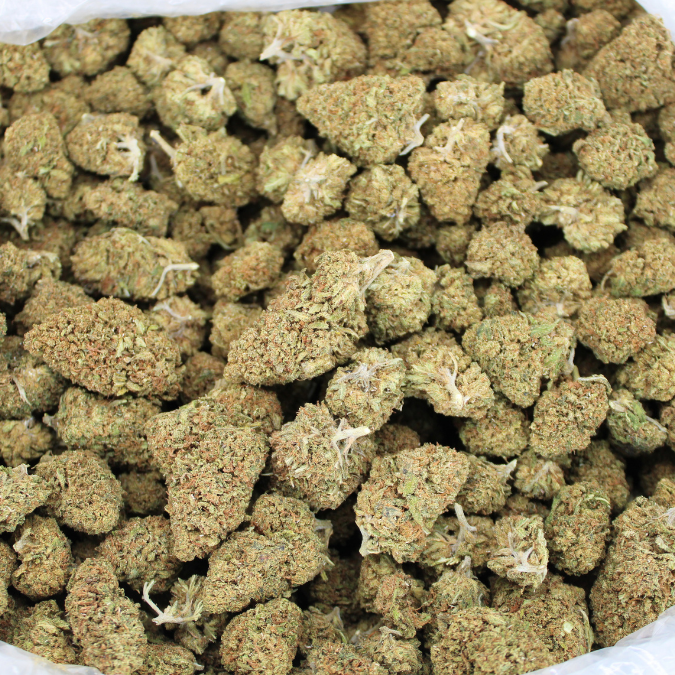 Critical Berries CBD flower buds in an open bulk bag