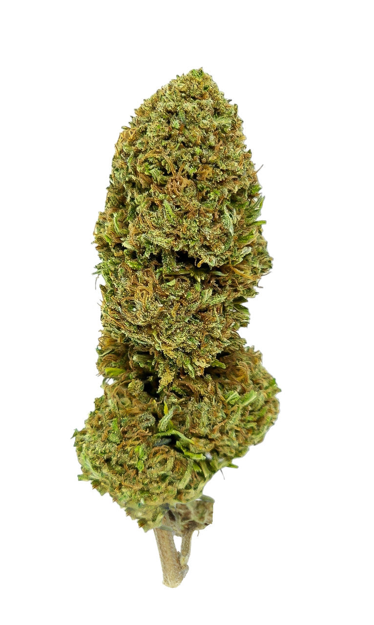 Critical Berries