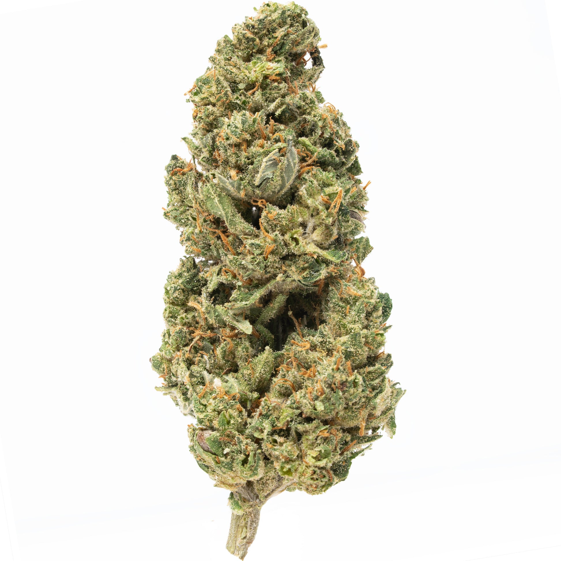 Plain Jane Fruit Leak Green house CBD flower