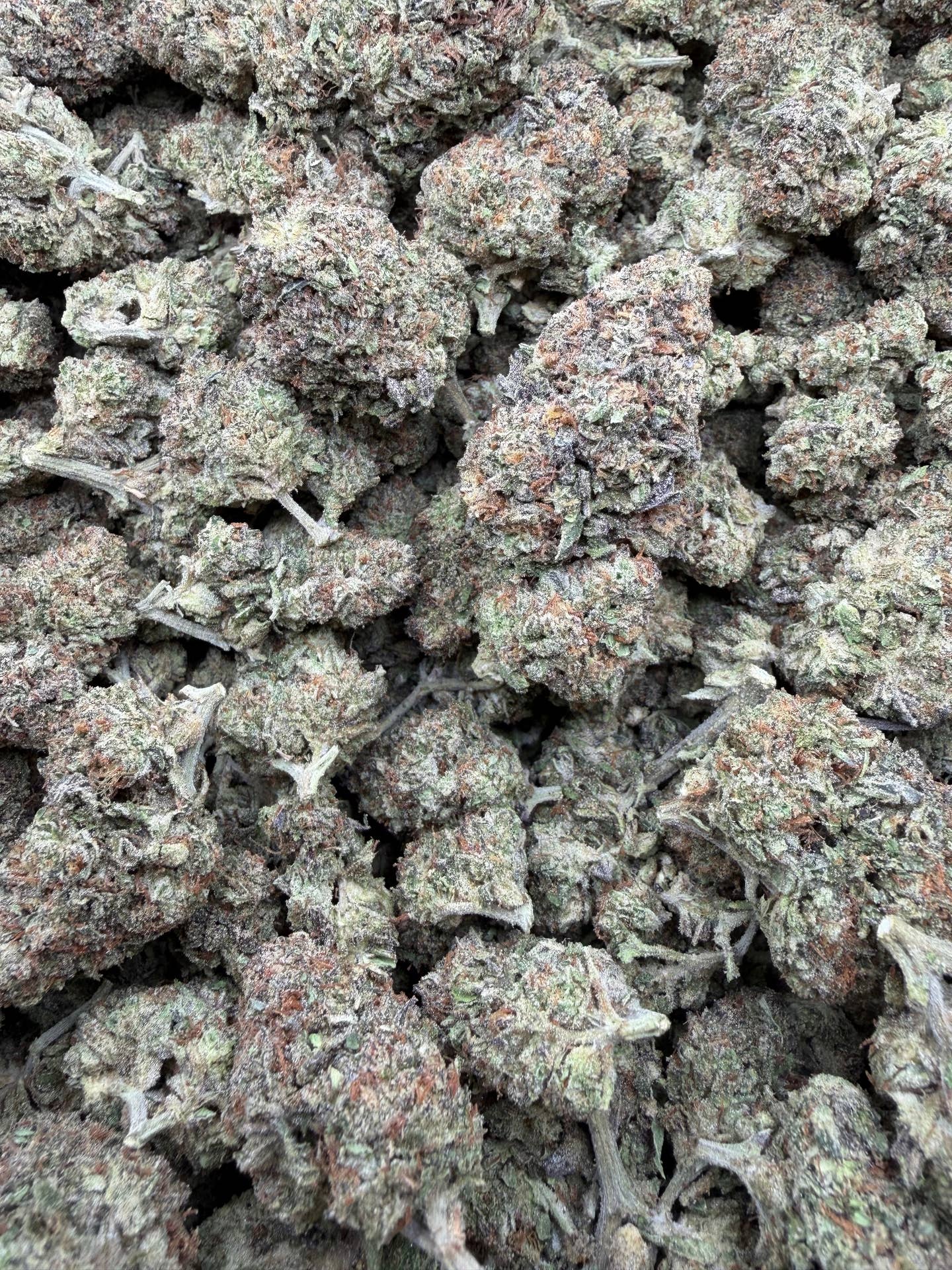 Grape Soda Light Assist THCA flower — Plain Jane