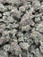 Grape Soda THCA flower product photo