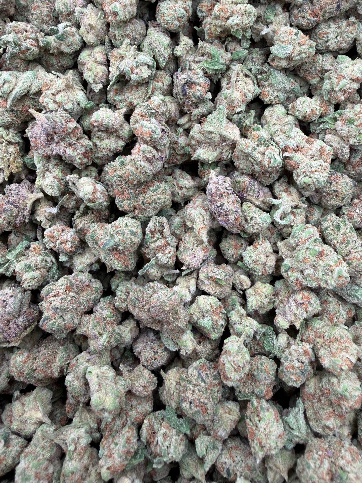 Close-up of Glitter Bomb Smalls THCA flower buds