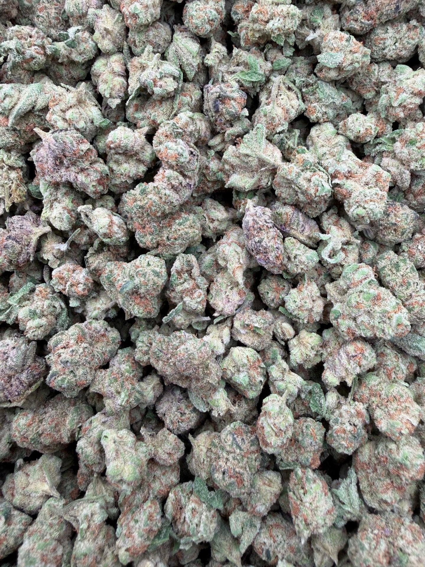 Glitter Bomb Smalls (Exotic Smalls) - THCA Flower