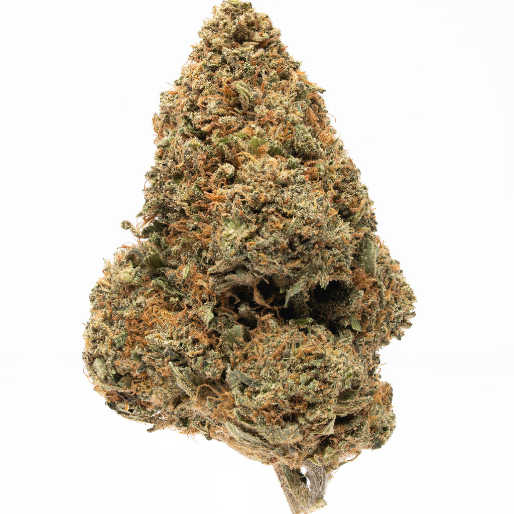 Plain Jane Lemon Octane flower