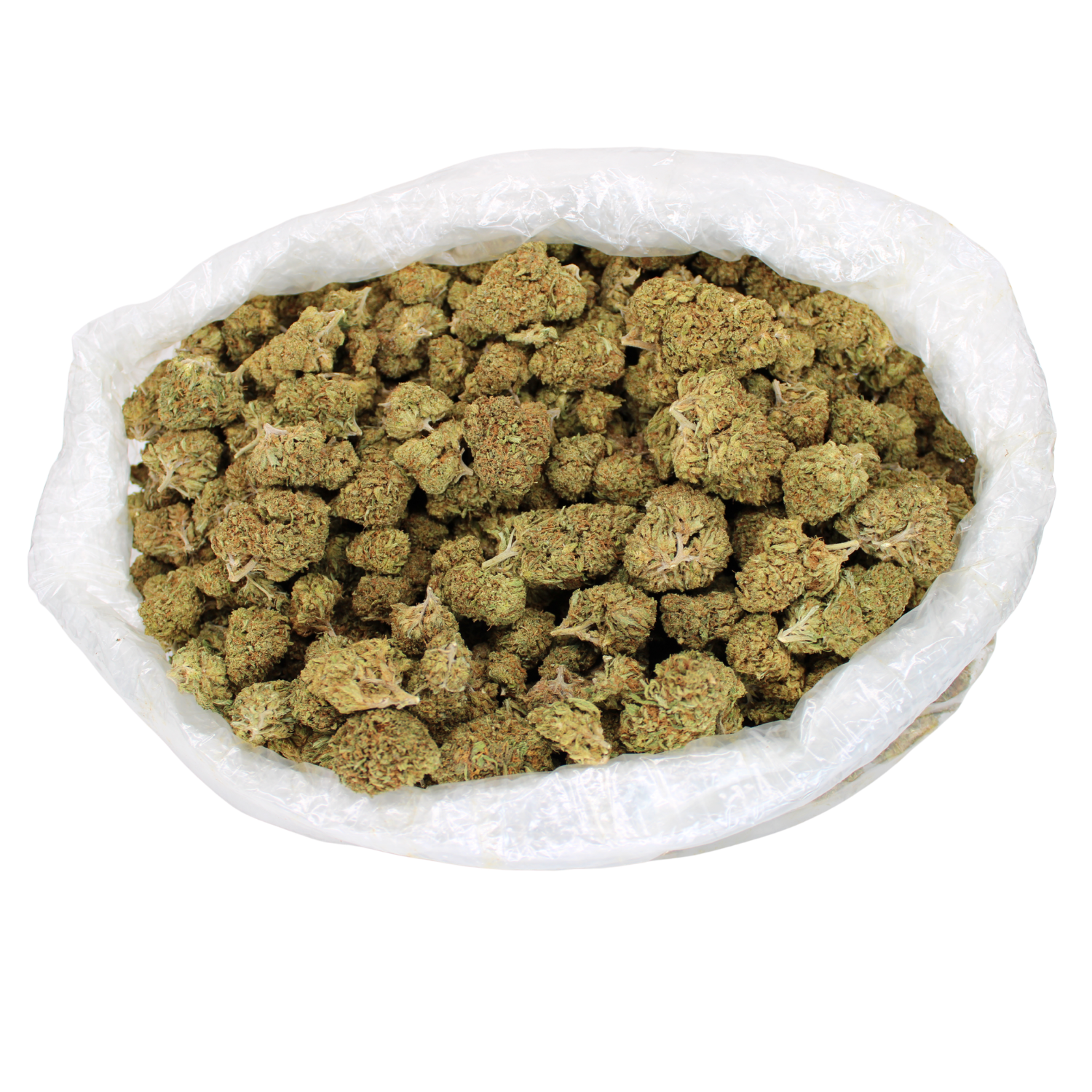Lemon Octane CBD Flower