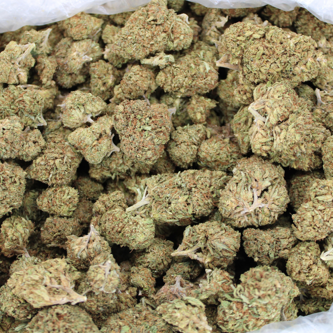 Lemon Octane CBD Flower