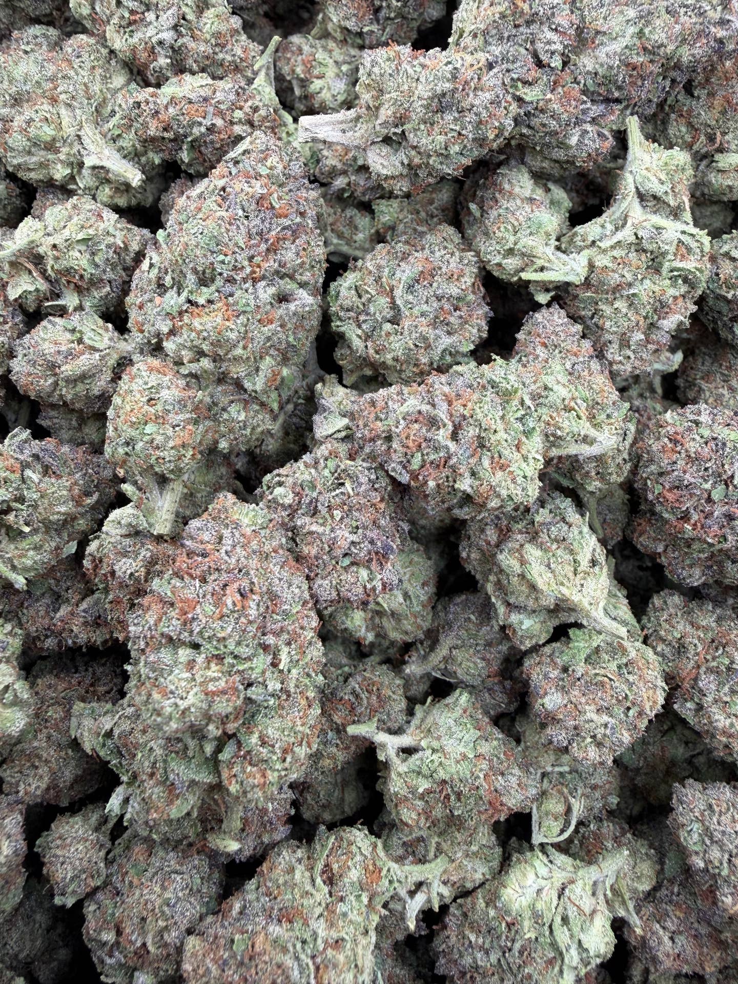 Mimosa THCA flower product photo