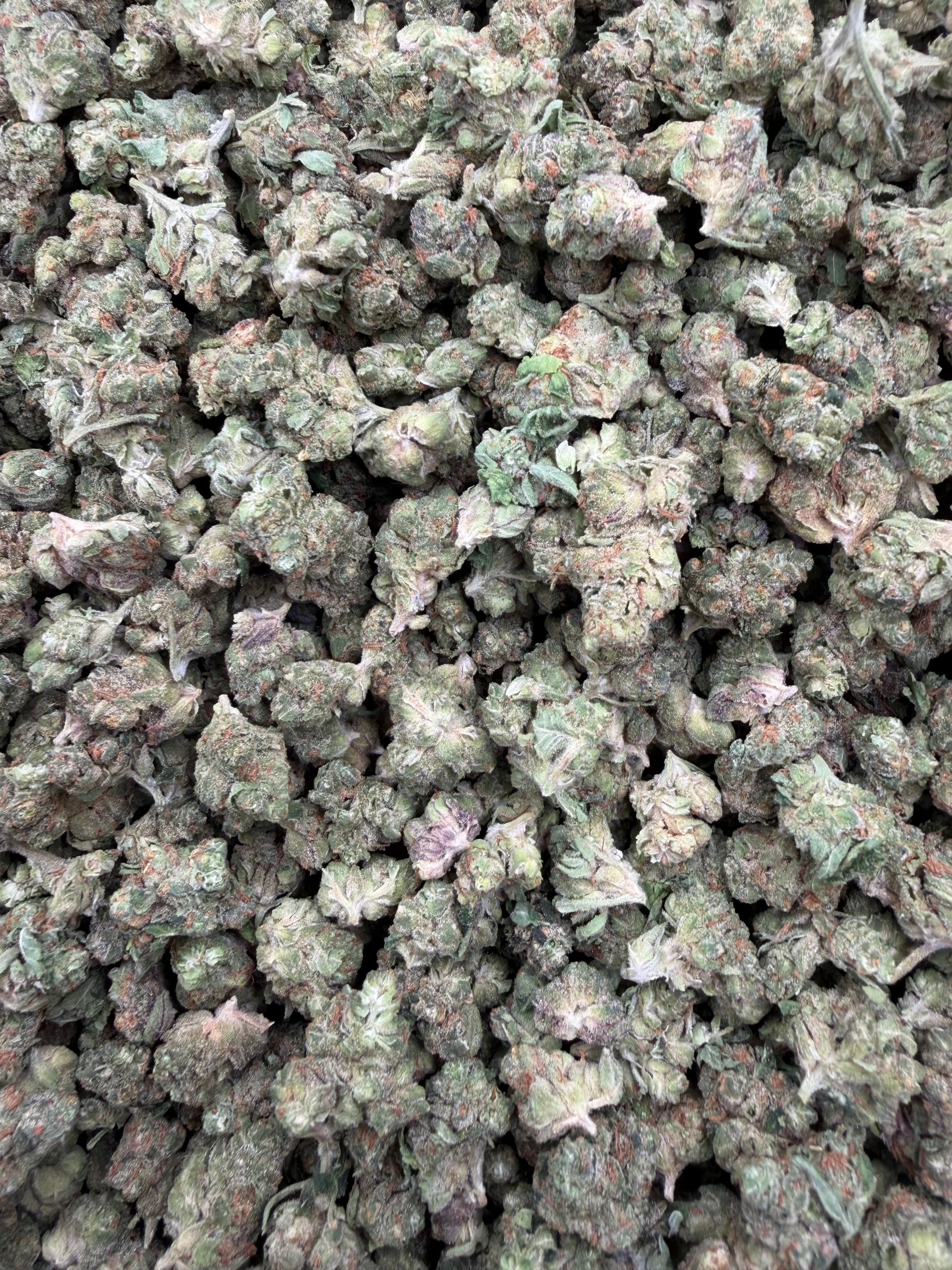 Mojito Indoor Smalls THCA flower – full batch of compact buds