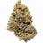 Plain Jane Green house CBD flower Payton's Strawberry 