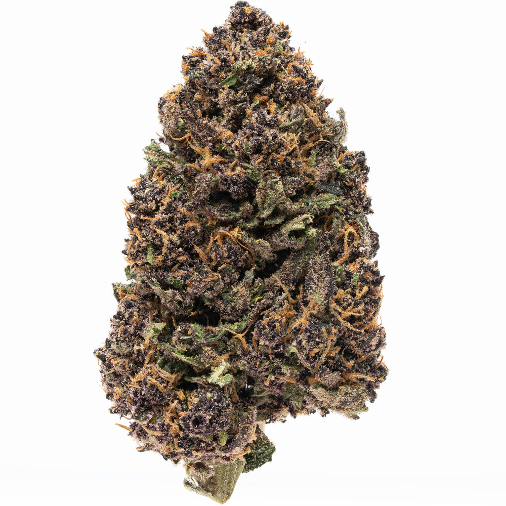 Plain Jane Green house Purple snowman flower