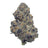 Peanut Butter Breath Exotic THCA flower – frosted purple bud