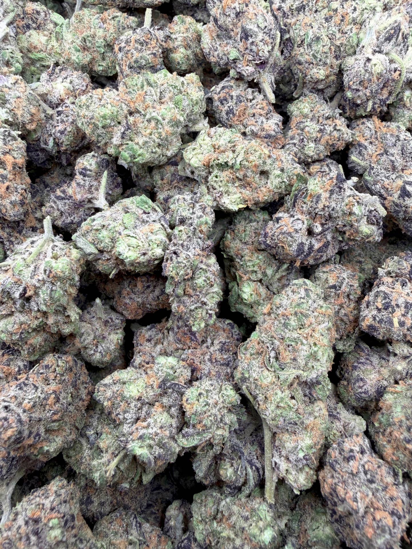 Peanut Butter Breath Exotic THCA flower – multiple frosted purple buds