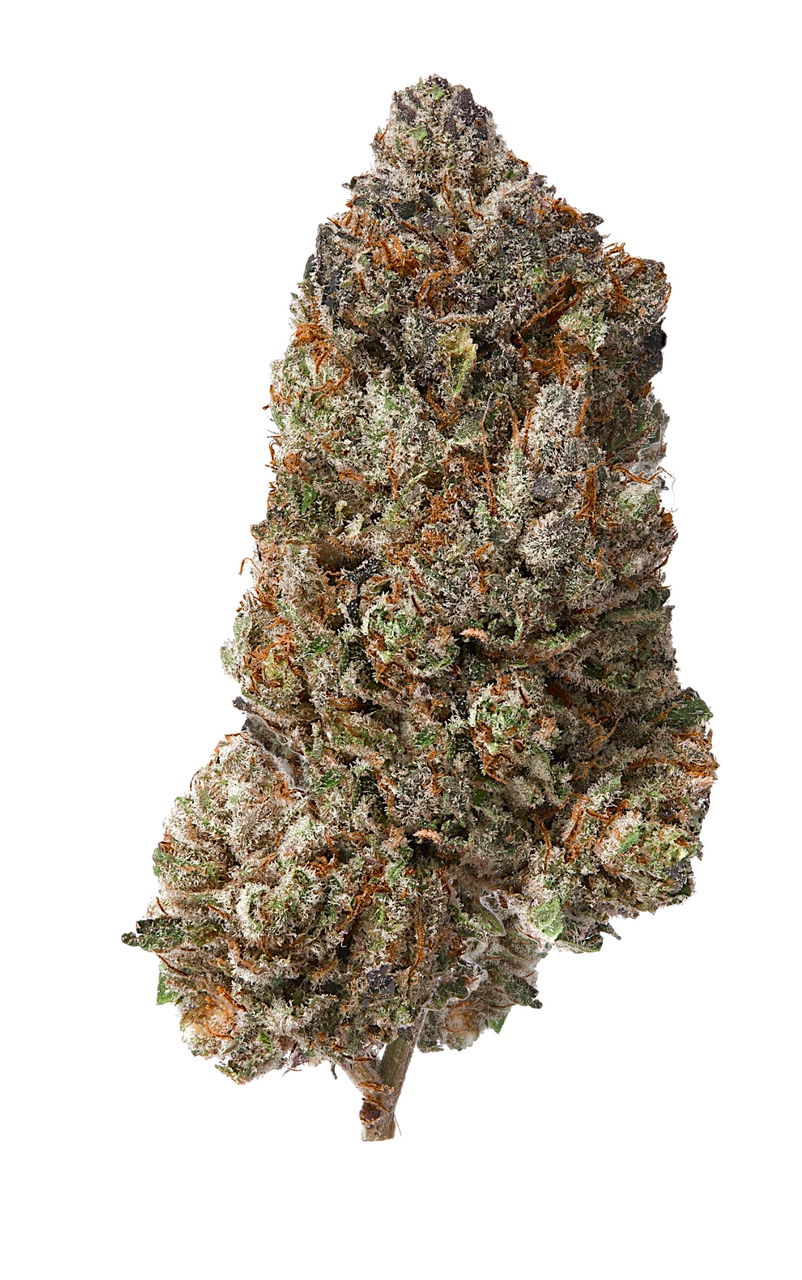 Pink Pixie Hemp Indoor Flower