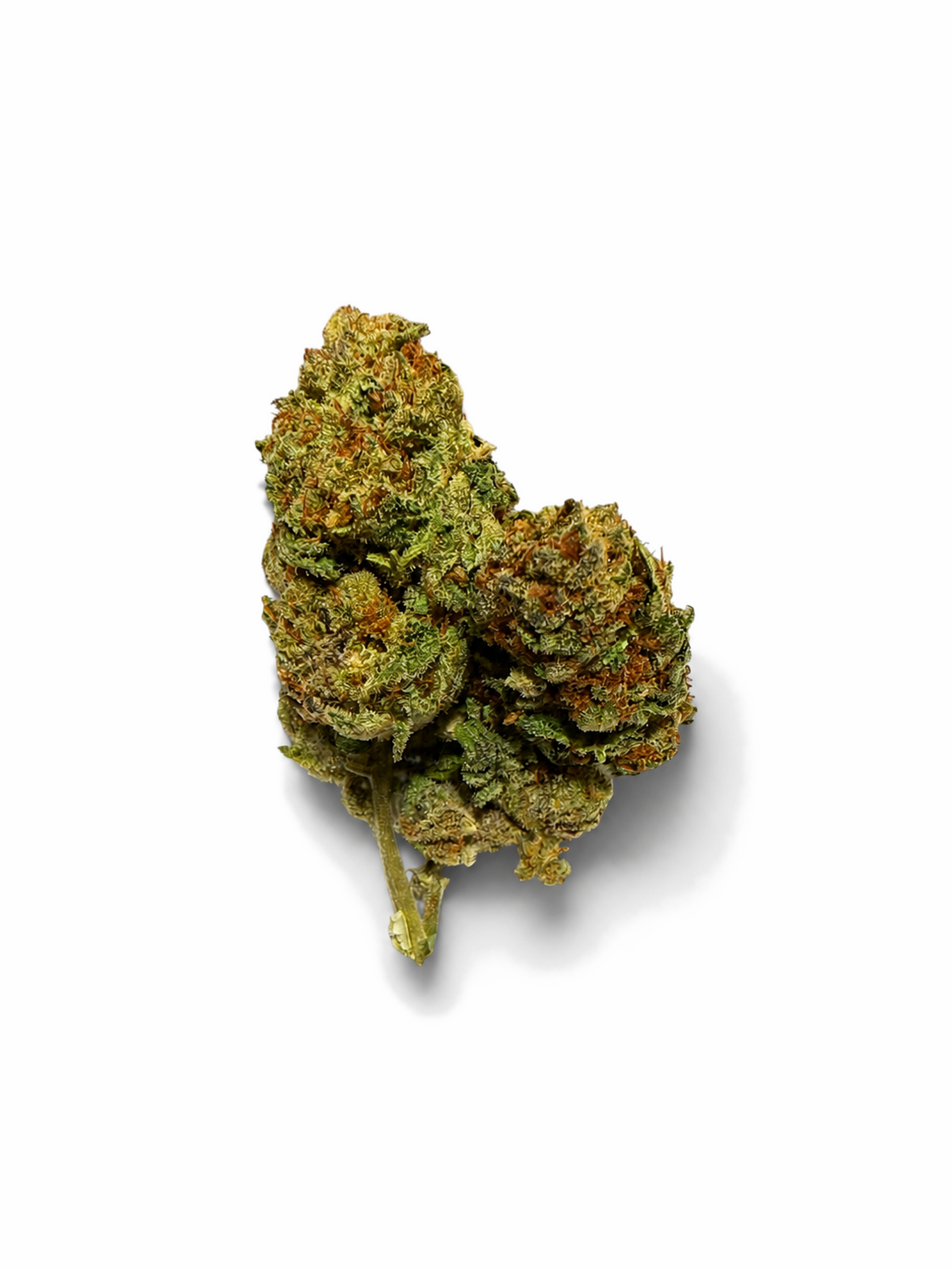 Pink Cookies (Indoor) THCA flower product photo