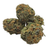 Pink Runtz Budget Mediums THCA Flower